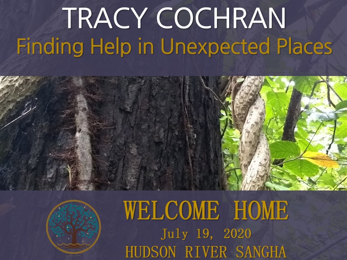 Finding Help in Unexpected Places: a guided&nbsp;meditation