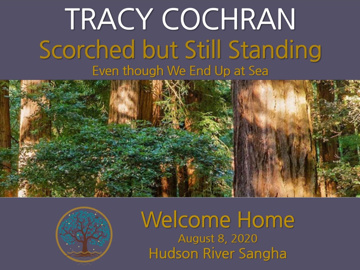 Scorched but Still Standing: a guided&nbsp;meditation