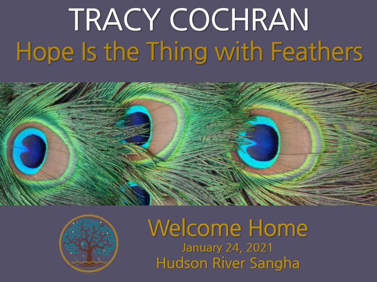 Hope is the Thing with Feathers: a guided&nbsp;meditation