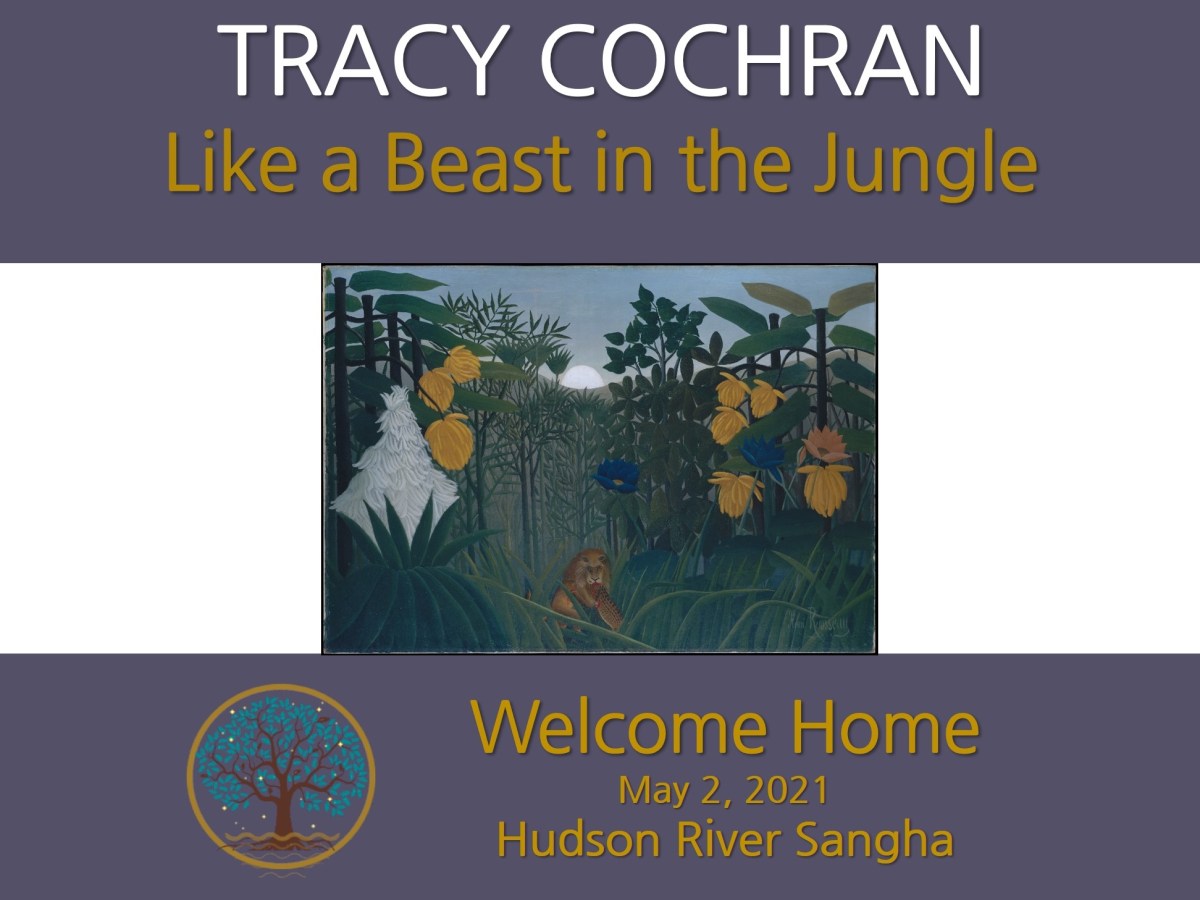 Like a Beast in the Jungle: a guided&nbsp;mediation