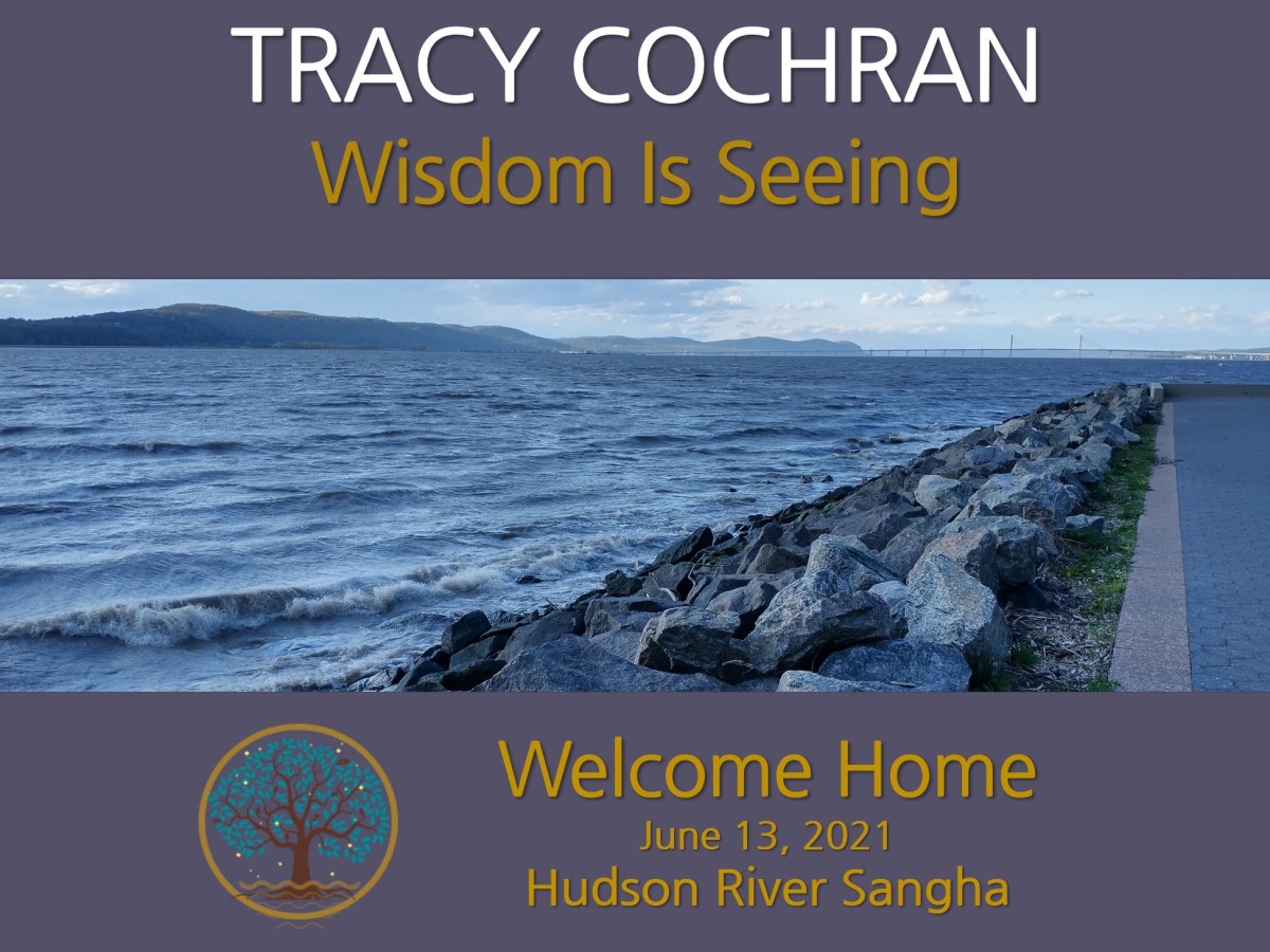 Wisdom is Seeing: a guided&nbsp;meditation