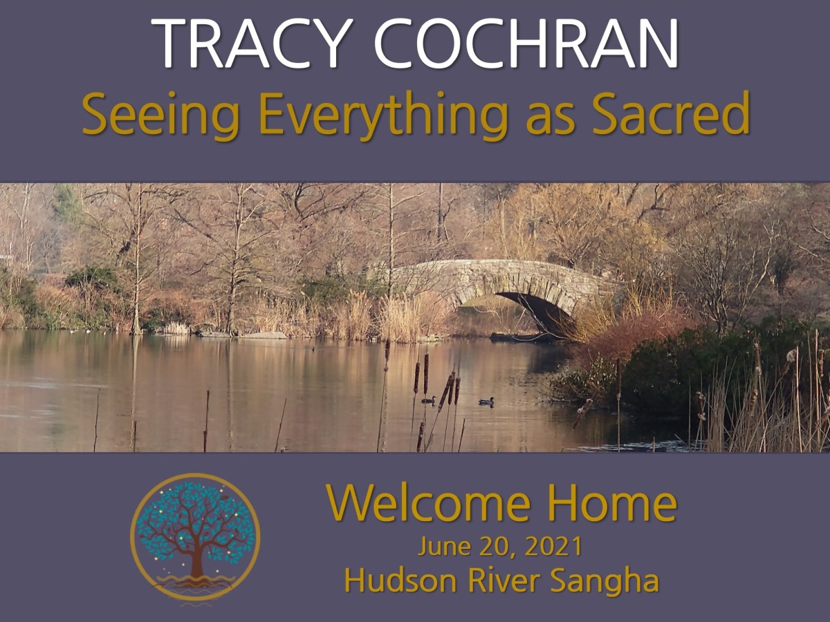 Seeing Everything as Sacred: a guided&nbsp;meditation