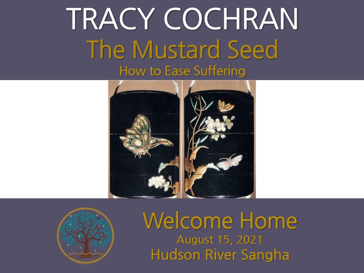 The Mustard Seed: a guided&nbsp;meditation