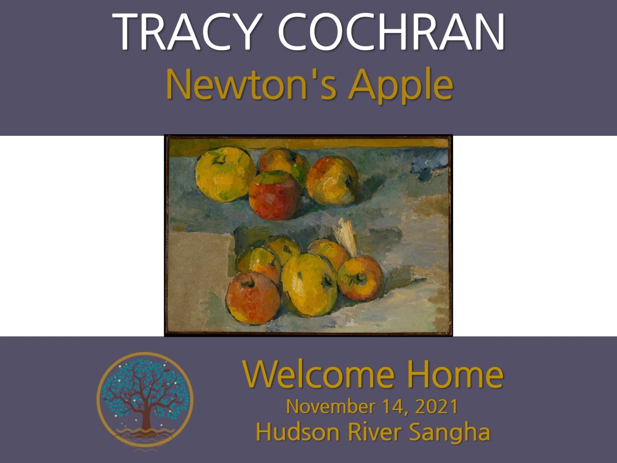 Newton’s Apple: a guided&nbsp;mediation