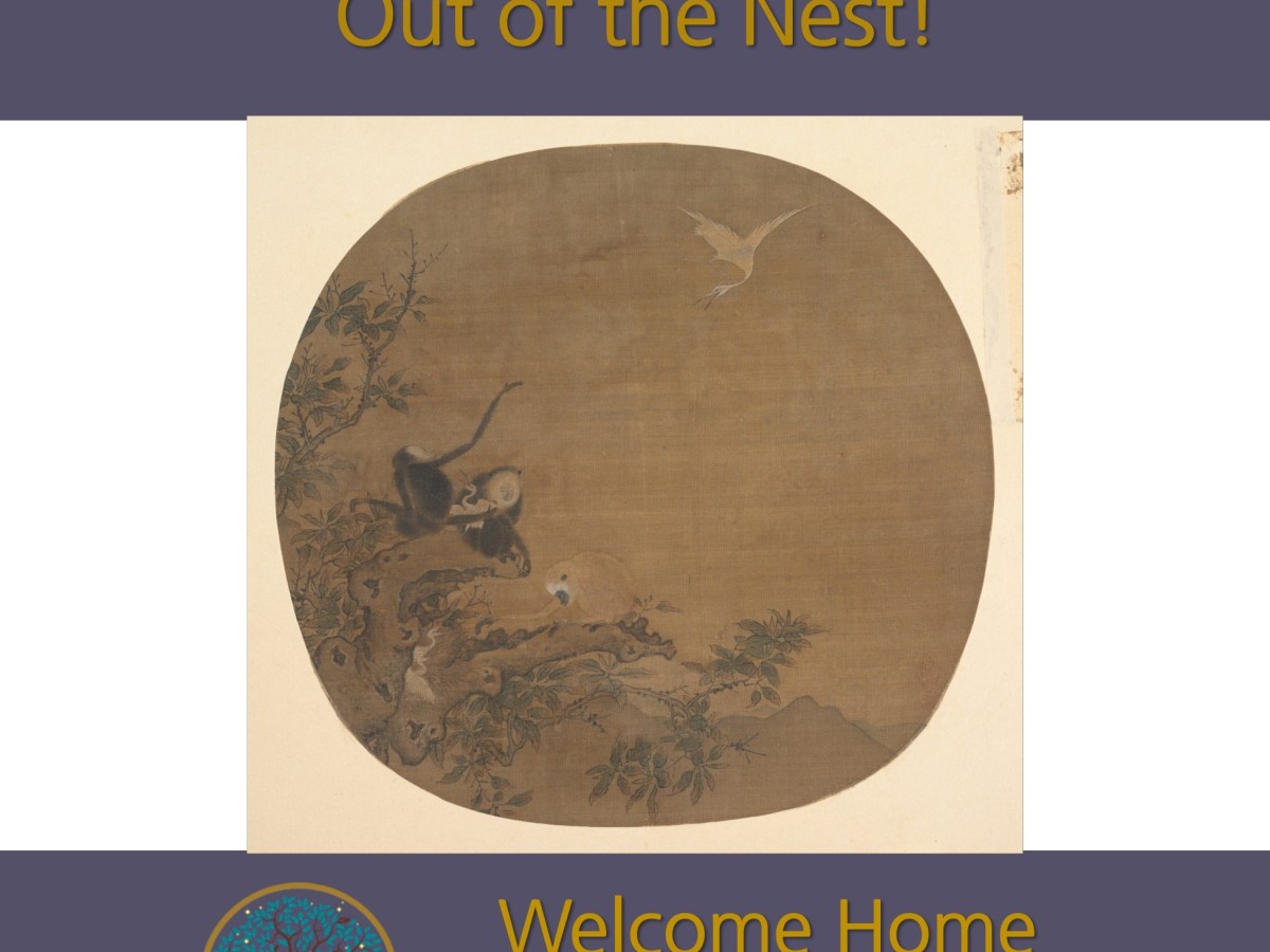 Out of the Nest!: a meditation&nbsp;podcast