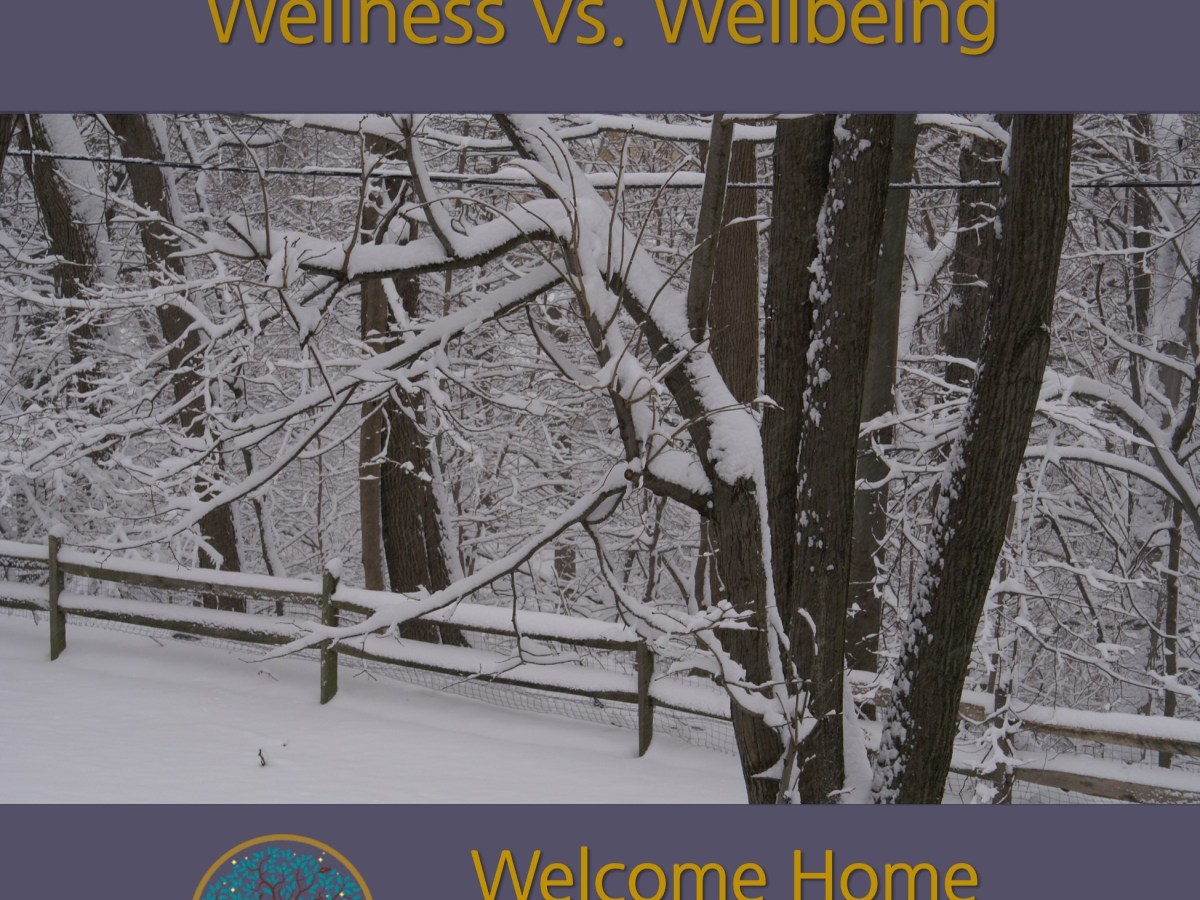 Wellness vs. Wellbeing: a meditation&nbsp;podcast